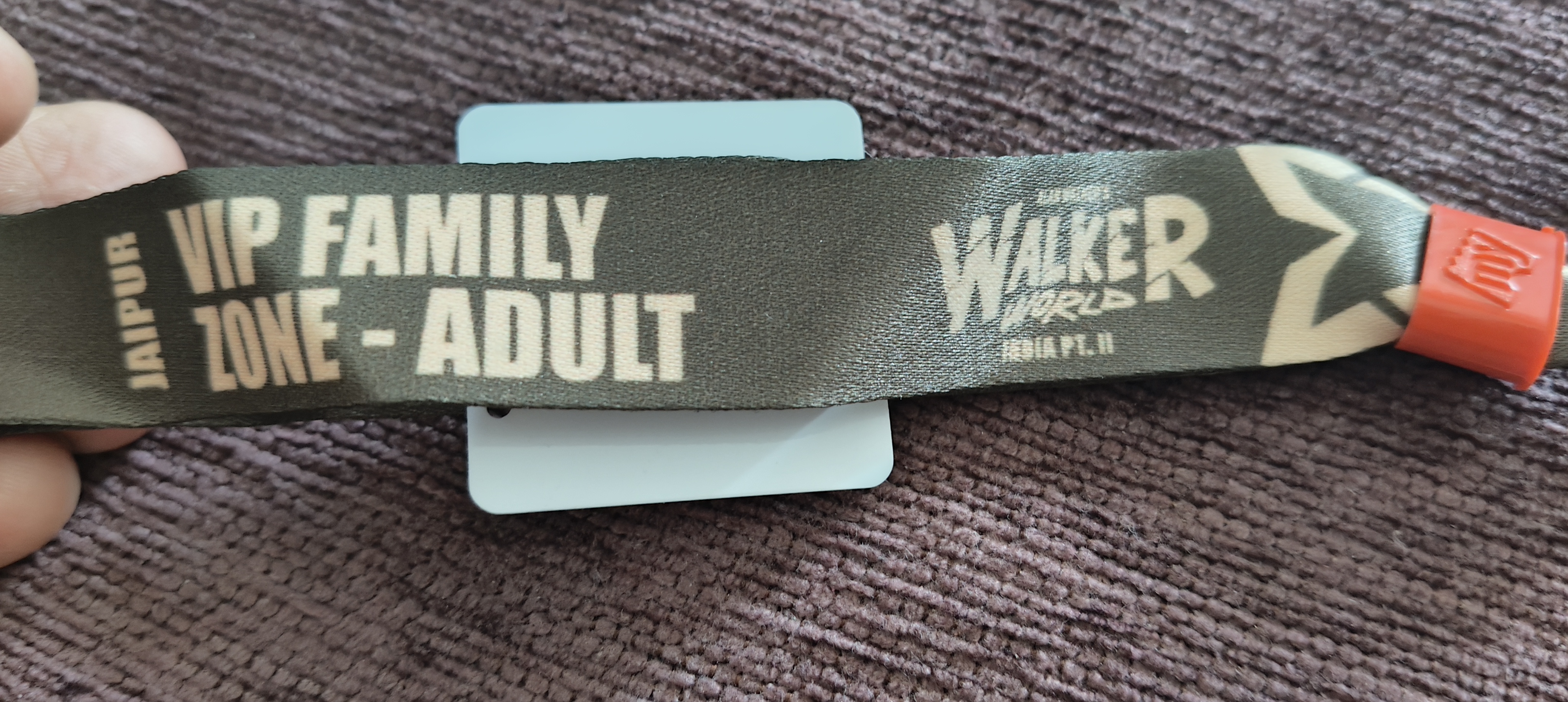 Alan Walker Family zone ticket 20th April 